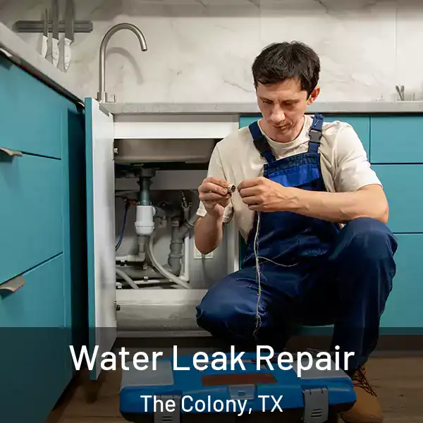  Water Leak Repair The Colony, TX